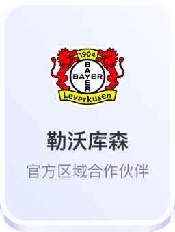 开云体育与勒沃库森合作标识